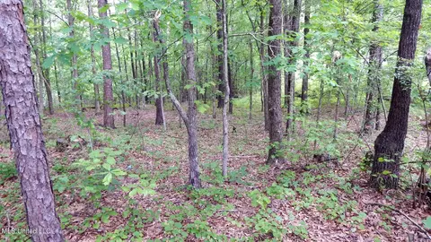 1015 Saulsbury Rd, Falkner, MS 38629 photo 9
