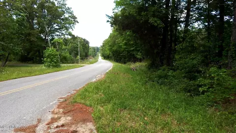 1015 Saulsbury Rd, Falkner, MS 38629 photo 3