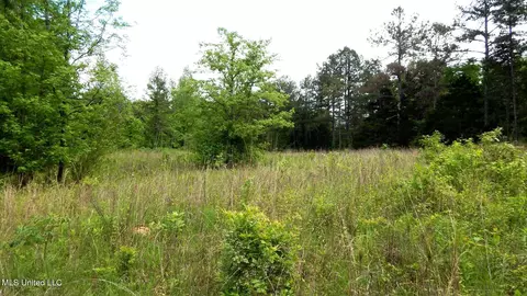 1015 Saulsbury Rd, Falkner, MS 38629 photo 6