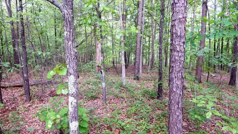 1015 Saulsbury Rd, Falkner, MS 38629 photo 10