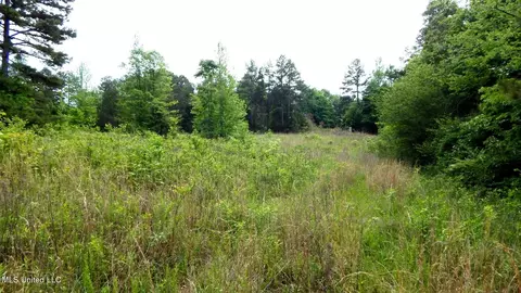 1015 Saulsbury Rd, Falkner, MS 38629 photo 7