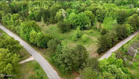 1015 Saulsbury Rd, Falkner, MS 38629 photo 15