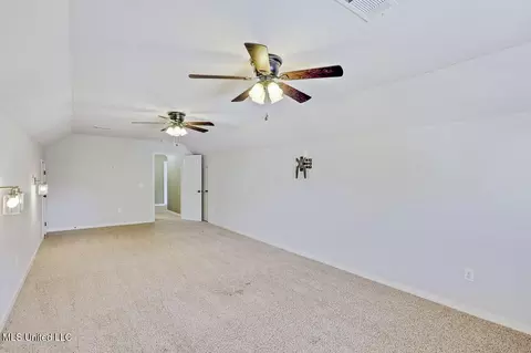 Other - 114 Parkway Cv, Brandon, MS 39047 photo 22 of 24