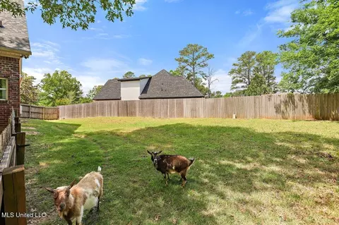 Exterior - 114 Parkway Cv, Brandon, MS 39047 photo 11 of 11