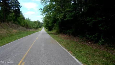 1079 Saulsbury Rd, Falkner, MS 38629 photo 9