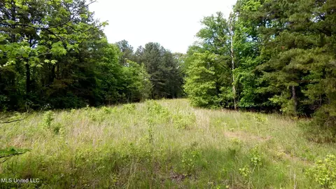 1079 Saulsbury Rd, Falkner, MS 38629 photo 4