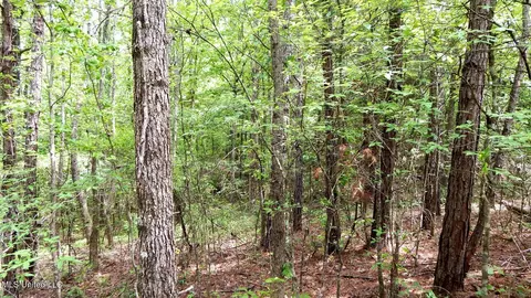 1079 Saulsbury Rd, Falkner, MS 38629 photo 6