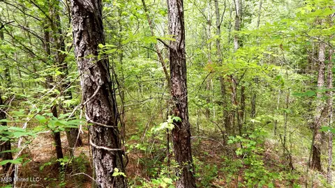 1079 Saulsbury Rd, Falkner, MS 38629 photo 7
