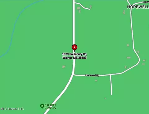 1079 Saulsbury Rd, Falkner, MS 38629 photo 11