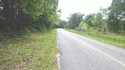 1079 Saulsbury Rd, Falkner, MS 38629 photo 8