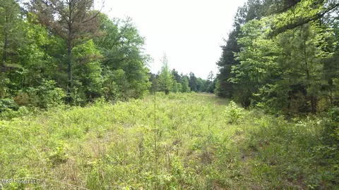 1079 Saulsbury Rd, Falkner, MS 38629 photo 5
