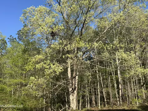 Liberty Church Road, Ashland, MS 38603