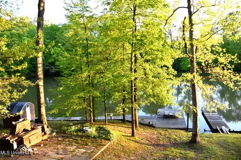10817 Loch Lomond Cir, Hernando, MS 38632 photo 32