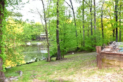 10817 Loch Lomond Cir, Hernando, MS 38632 photo 34