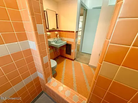 Bath - 3316 Old Canton Rd, Jackson, MS 39216 photo 4 of 4