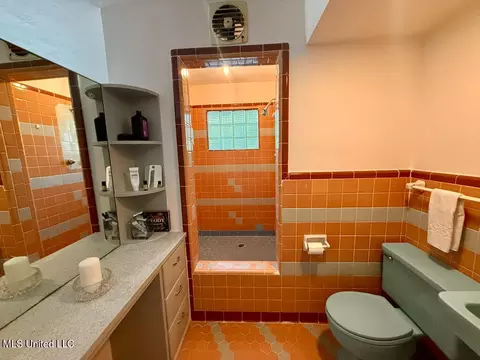 Bath - 3316 Old Canton Rd, Jackson, MS 39216 photo 3 of 4