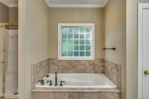 Bath - 203 Remington Dr, Brandon, MS 39042 photo 1 of 5