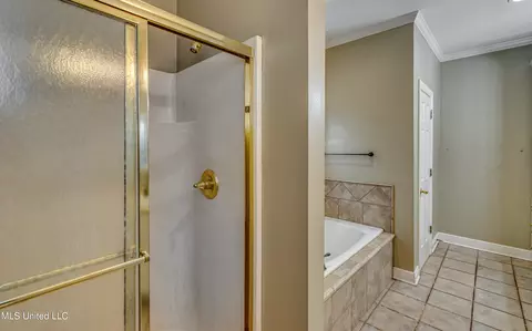 Bath - 203 Remington Dr, Brandon, MS 39042 photo 2 of 5