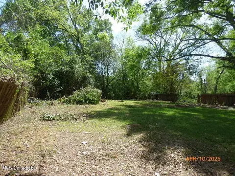 11 Myrtle Dr, Natchez, MS 39120 photo 5