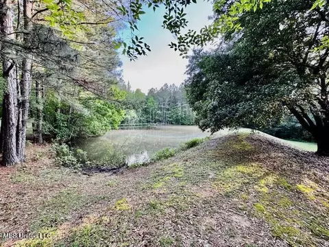 86 Pleasant Hill Rd, Mount Olive, MS 39119 photo 27