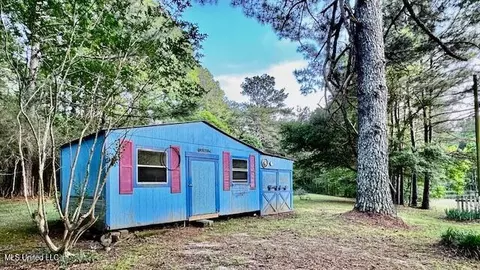 86 Pleasant Hill Rd, Mount Olive, MS 39119 photo 29