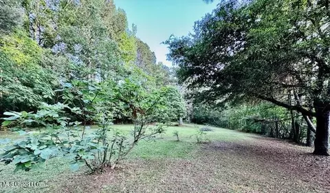 86 Pleasant Hill Rd, Mount Olive, MS 39119 photo 28