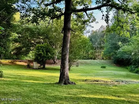 86 Pleasant Hill Rd, Mount Olive, MS 39119 photo 25