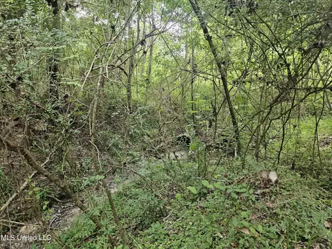6067 Daugherty Rd, Long Beach, MS 39560 photo 59