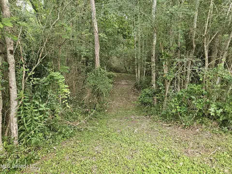 6067 Daugherty Rd, Long Beach, MS 39560 photo 52