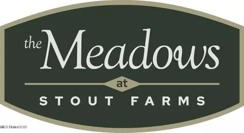 Stout Meadows Lane, Madison, MS 39110