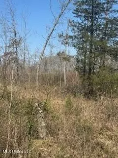 Cr 544, Rienzi, MS 38865 photo 3