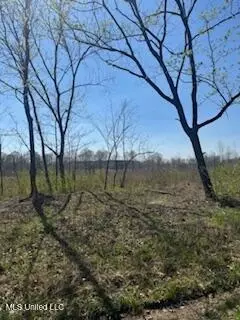 Cr 544, Rienzi, MS 38865 photo 6
