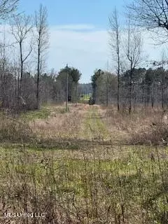 Cr 544, Rienzi, MS 38865 photo 4