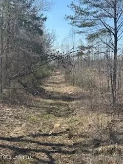 Cr 544, Rienzi, MS 38865 photo 10