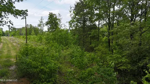 Cr 544, Rienzi, MS 38865 photo 16