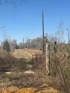 Cr 544, Rienzi, MS 38865 photo 2