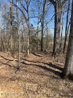Cr 544, Rienzi, MS 38865 photo 8
