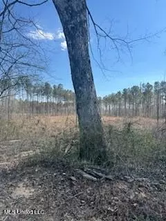 Cr 544, Rienzi, MS 38865 photo 13