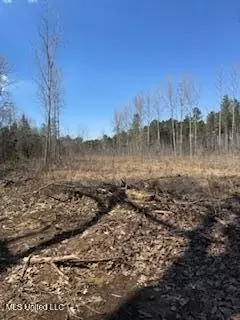 Cr 544, Rienzi, MS 38865 photo 12