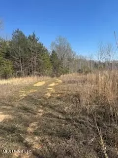 Cr 544, Rienzi, MS 38865 photo 9