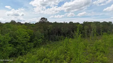 Cr 544, Rienzi, MS 38865 photo 14