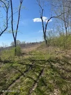Cr 544, Rienzi, MS 38865 photo 5