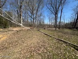 Cr 544, Rienzi, MS 38865 photo 7