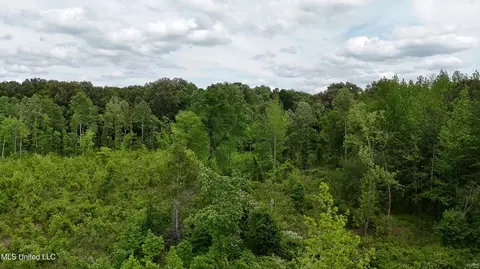 Cr 544, Rienzi, MS 38865 photo 15