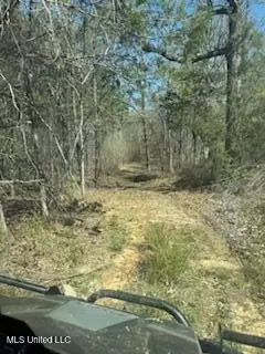 Cr 544, Rienzi, MS 38865 photo 11