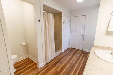 313 Bay Park Dr, Brandon, MS 39047 photo 23