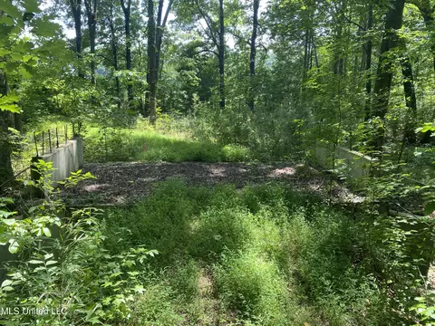 0 Summer Oak Dr, Lamar, MS 38642 photo 12
