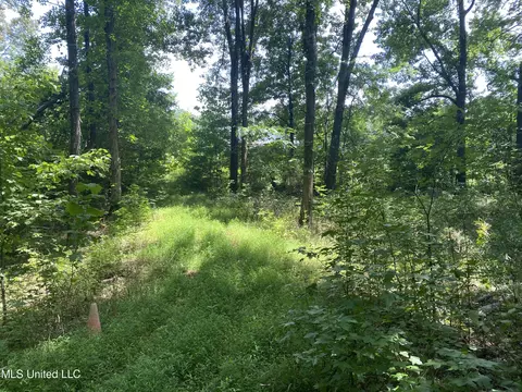 0 Summer Oak Dr, Lamar, MS 38642 photo 10