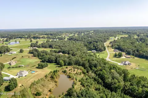 0 Summer Oak Dr, Lamar, MS 38642 photo 20