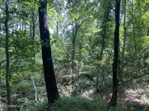 0 Summer Oak Dr, Lamar, MS 38642 photo 19